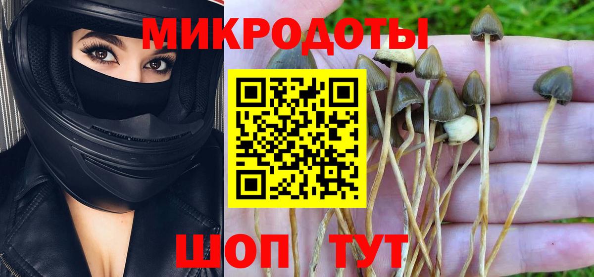 Галлюциногенные грибы прущие грибы Азов