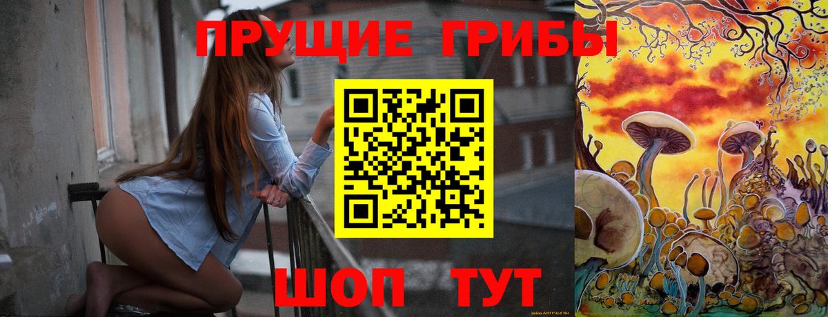 Галлюциногенные грибы MAGIC MUSHROOMS  где можно купить наркотик  Азов  Вход с VPN 